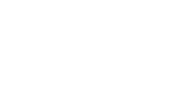 Executive Candidate